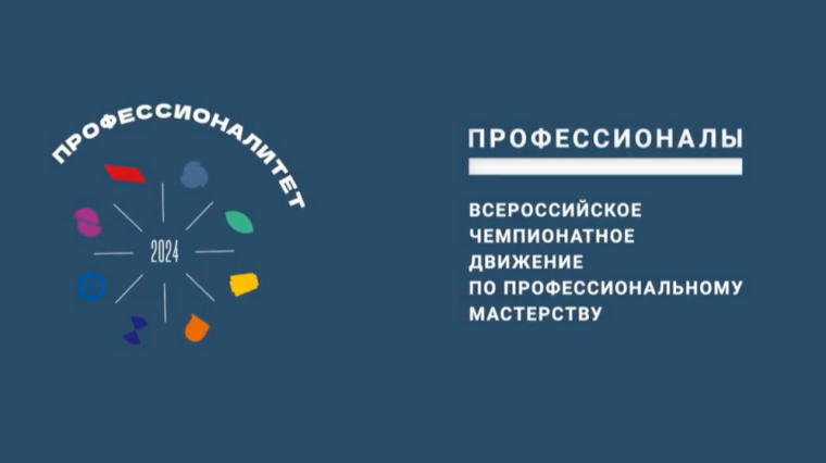 Финал Чемпионата по профессиональному мастерству «Профессионалы».